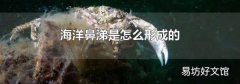 海洋鼻涕是怎么形成的