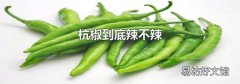杭椒到底辣不辣