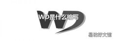 WD是什么缩写