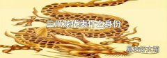 三爪龙代表什么身份