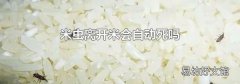 米虫离开米会自动死吗