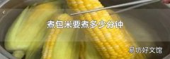 煮包米要煮多少分钟