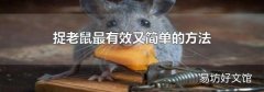 捉老鼠最有效又简单的方法