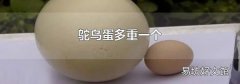 鸵鸟蛋多重一个