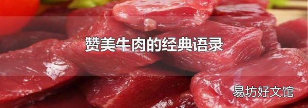赞美牛肉的经典语录