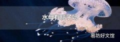 水母有脑子吗