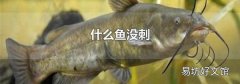 什么鱼没刺