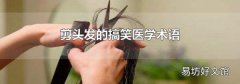 剪头发的搞笑医学术语