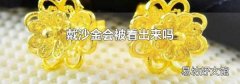 戴沙金会被看出来吗