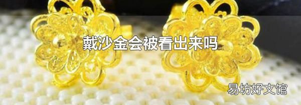 戴沙金会被看出来吗
