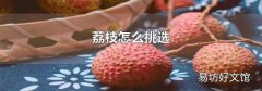 荔枝怎么挑选