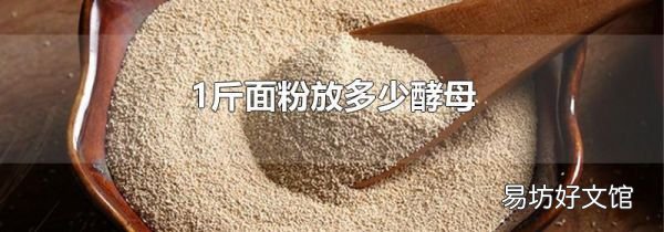 1斤面粉放多少酵母