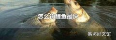 怎么钓鲤鱼最快