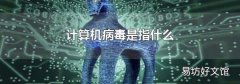 计算机病毒是指什么