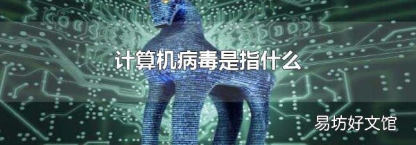 计算机病毒是指什么