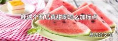哇这个西瓜真甜啊怎么加标点