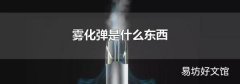 雾化弹是什么东西