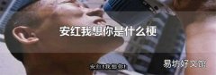安红我想你是什么梗