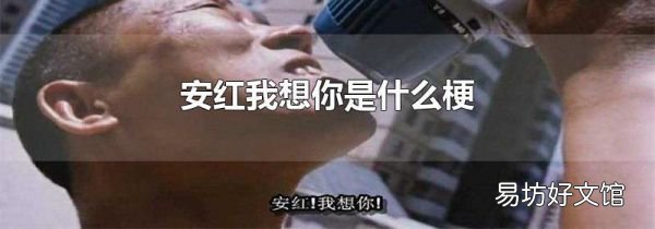 安红我想你是什么梗