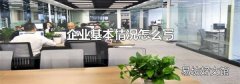 企业基本情况怎么写