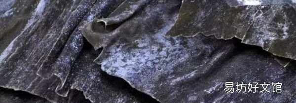 发霉的海带洗干净还能吃吗
