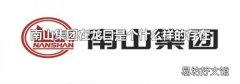南山集团在龙口是个什么样的存在