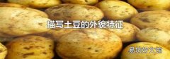描写土豆的外貌特征
