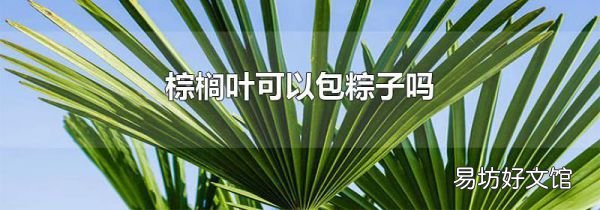 棕榈叶可以包粽子吗