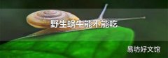 野生蜗牛能不能吃