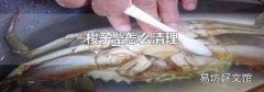梭子蟹怎么清理