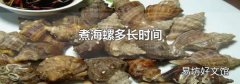煮海螺多长时间