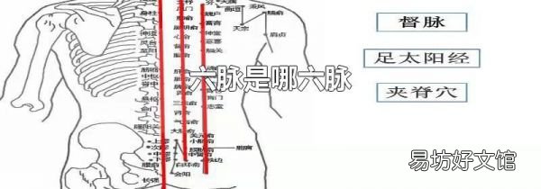六脉是哪六脉