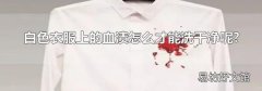 白色衣服上的血渍怎么才能洗干净呢?