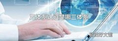 三体系认证是哪三体系