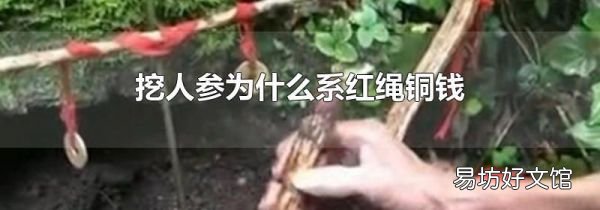挖人参为什么系红绳铜钱