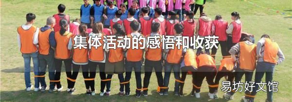 集体活动的感悟和收获