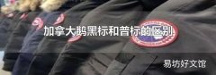 加拿大鹅黑标和普标的区别