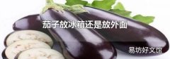 茄子放冰箱还是放外面