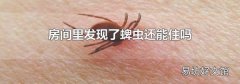 房间里发现了蜱虫还能住吗