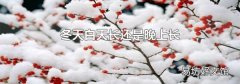 冬天白天长还是晚上长