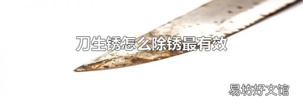 刀生锈怎么除锈最有效