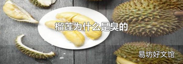 榴莲为什么是臭的
