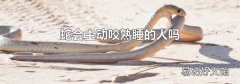 蛇会主动咬熟睡的人吗