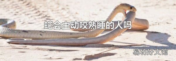 蛇会主动咬熟睡的人吗