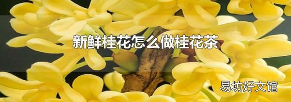 新鲜桂花怎么做桂花茶