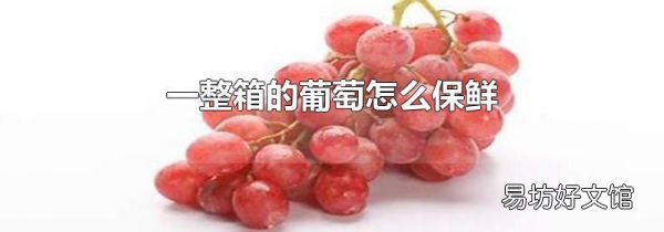 一整箱的葡萄怎么保鲜