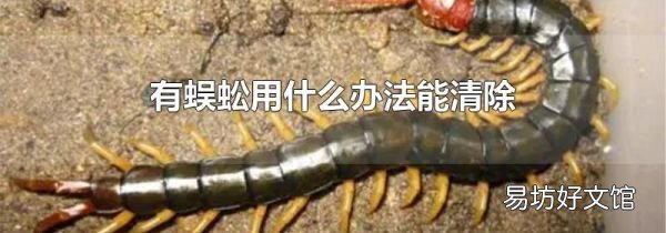有蜈蚣用什么办法能清除