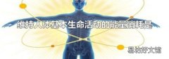 维持人体基本生命活动的能量消耗是