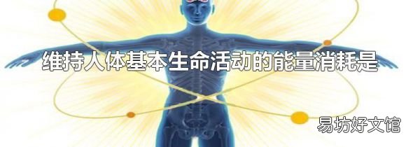 维持人体基本生命活动的能量消耗是