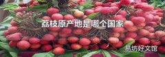 荔枝原产地是哪个国家